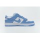 Nike SB Dunk Low Pro White Blue