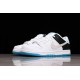 Nike SB Dunk Low White --DJ9158-200 Casual Shoes Unisex