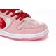 Nike SB Dunk Low Pro Pink CT2552 800 Red Shoes